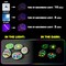 10 Colors Glow in the Dark Paint, 3D Permanent Acrylic Textile Paint (20 ml/0.68 oz), Neon Craft Painting Fabric Paint for Clothes, Canvas, T-Shirt, Ideal for Art Supplies and
